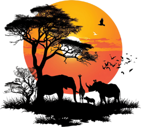 Picture for category Wildlife & Birding